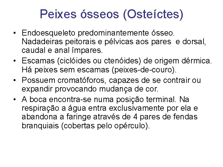 Peixes ósseos (Osteíctes) • Endoesqueleto predominantemente ósseo. Nadadeiras peitorais e pélvicas aos pares e