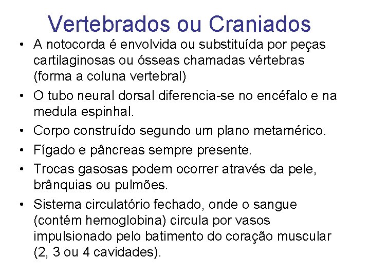 Vertebrados ou Craniados • A notocorda é envolvida ou substituída por peças cartilaginosas ou