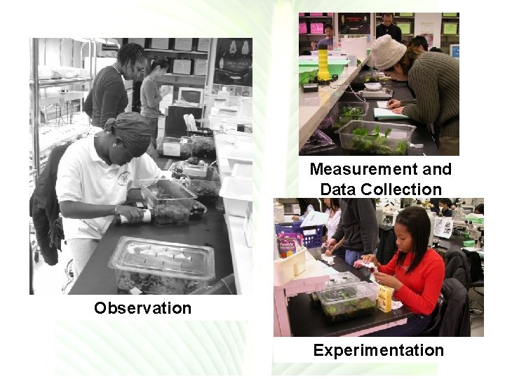 Measurement and Data Collection Observation Experimentation 
