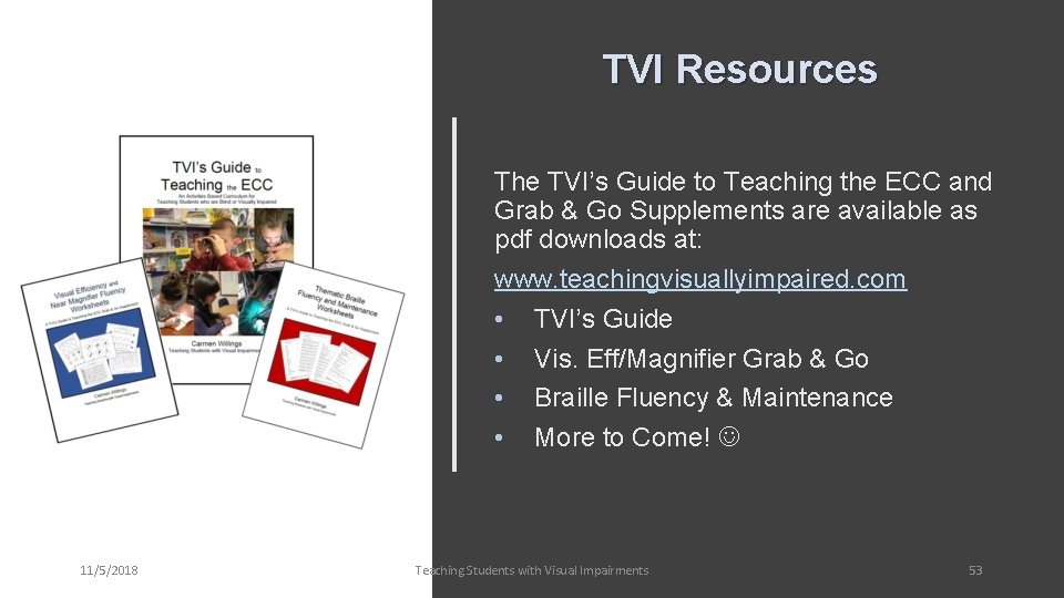TVI Resources The TVI’s Guide to Teaching the ECC and Grab & Go Supplements