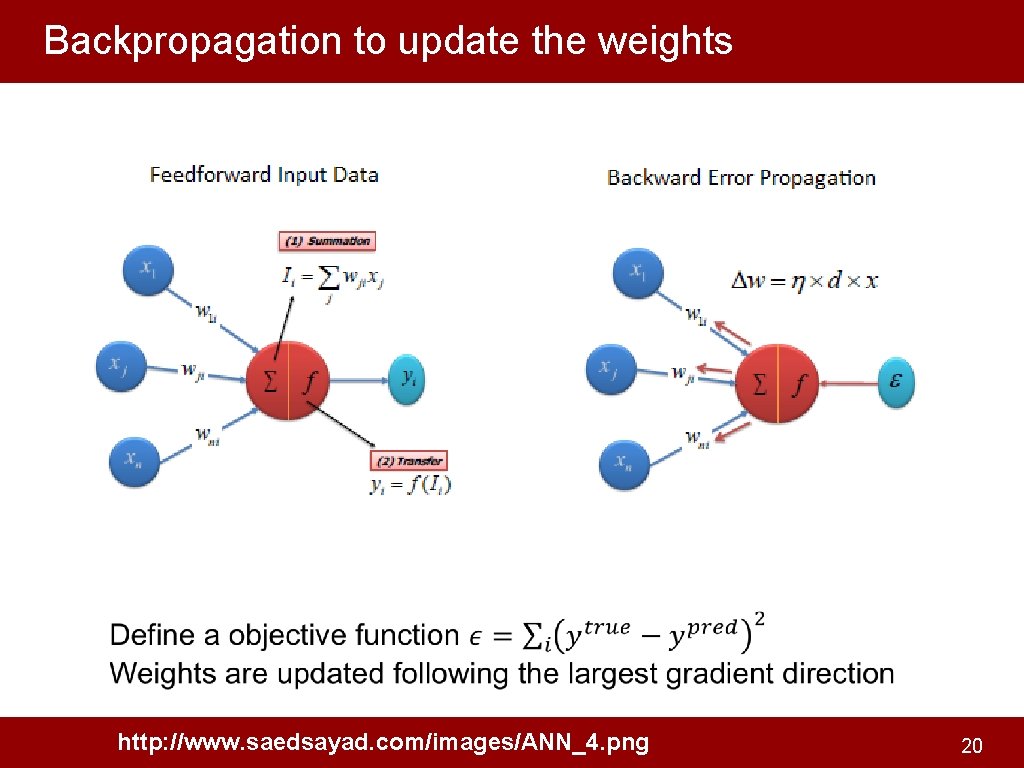 Backpropagation to update the weights http: //www. saedsayad. com/images/ANN_4. png 20 