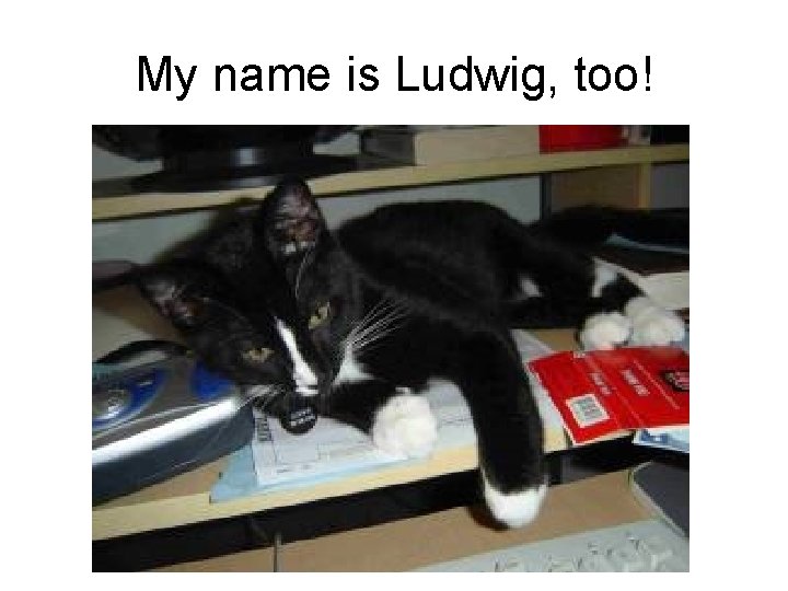 My name is Ludwig, too! 