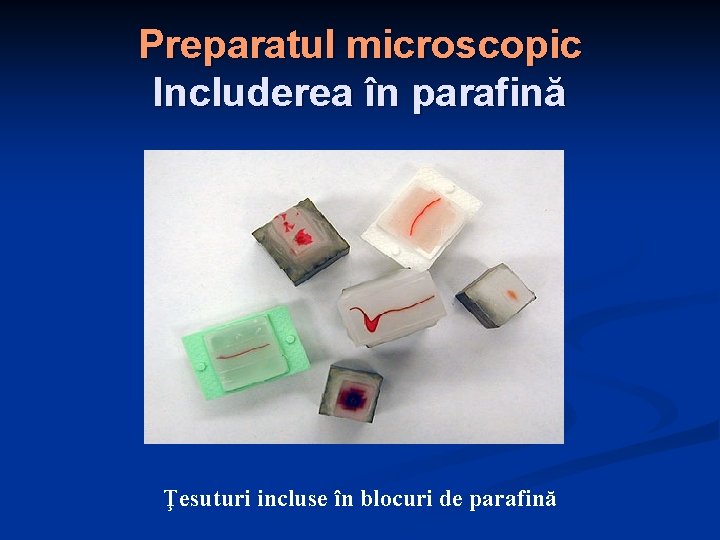 Preparatul microscopic Includerea în parafină Ţesuturi incluse în blocuri de parafină 