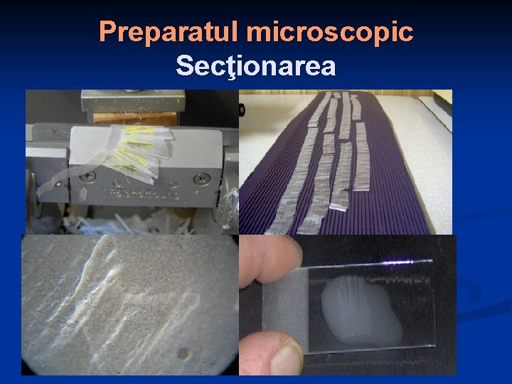  Preparatul microscopic Secţionarea 