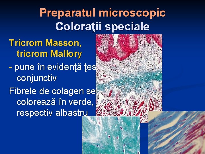 Preparatul microscopic Coloraţii speciale Tricrom Masson, tricrom Mallory - pune în evidenţă ţes. conjunctiv