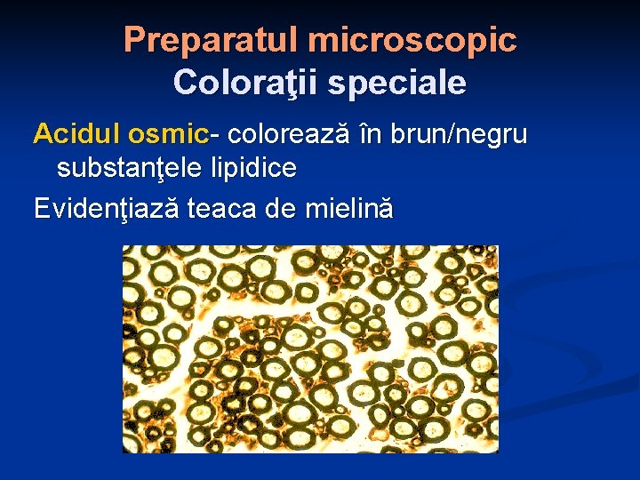 Preparatul microscopic Coloraţii speciale Acidul osmic- colorează în brun/negru substanţele lipidice Evidenţiază teaca de