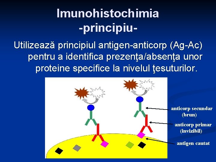Imunohistochimia -principiu. Utilizează principiul antigen-anticorp (Ag-Ac) pentru a identifica prezenţa/absenţa unor proteine specifice la