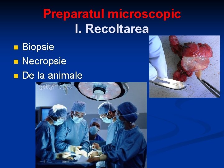 Preparatul microscopic I. Recoltarea Biopsie n Necropsie n De la animale n 