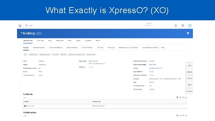 What Exactly is Xpress. O? (XO) What Exactly is Xpress. O? (XO)