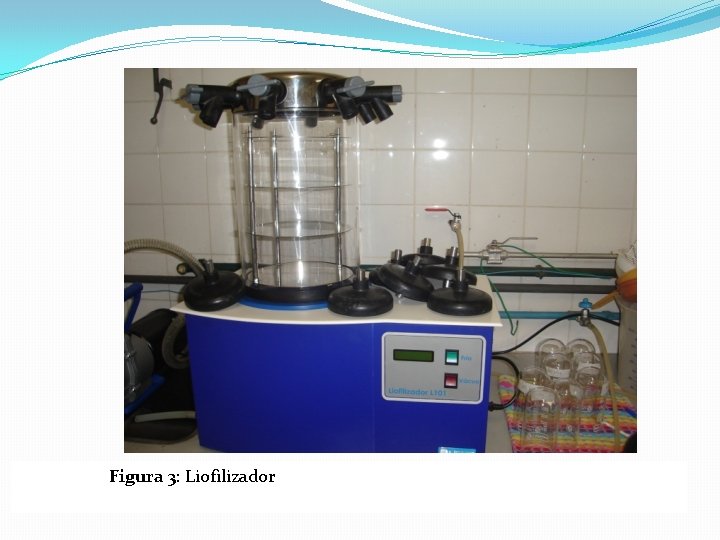 Figura 3: Liofilizador 