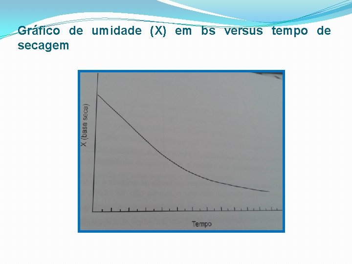 Gráfico de umidade (X) em bs versus tempo de secagem 