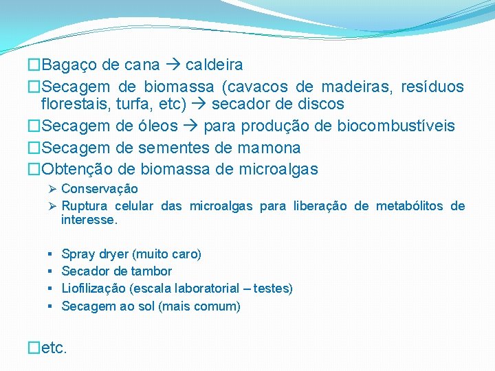 �Bagaço de cana caldeira �Secagem de biomassa (cavacos de madeiras, resíduos florestais, turfa, etc)