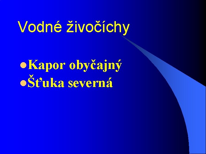 Vodné živočíchy l. Kapor obyčajný lŠťuka severná 