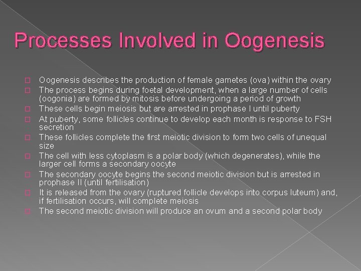 Processes Involved in Oogenesis � � � � � Oogenesis describes the production of