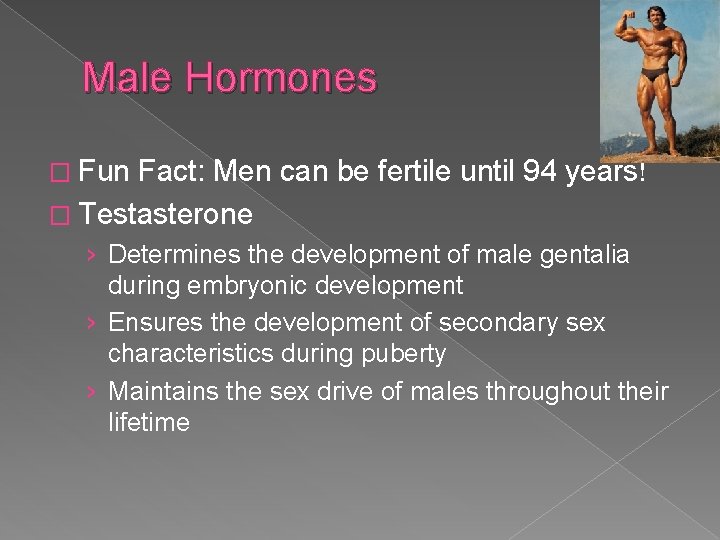 Male Hormones � Fun Fact: Men can be fertile until 94 years! � Testasterone