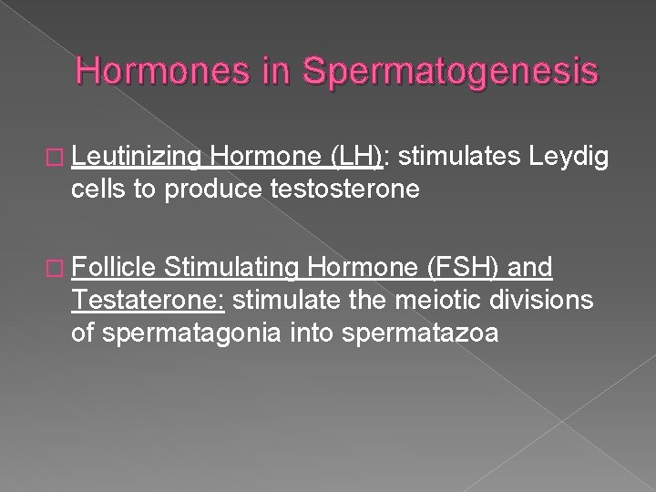 Hormones in Spermatogenesis � Leutinizing Hormone (LH): stimulates Leydig cells to produce testosterone �