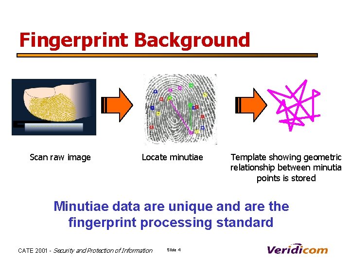 Fingerprint Background Scan raw image Locate minutiae Template showing geometric relationship between minutia points
