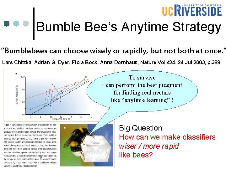 Bumble Bee’s Anytime Strategy “Bumblebees can choose wisely or rapidly, but not both at Bumble Bee’s Anytime Strategy “Bumblebees can choose wisely or rapidly, but not both at