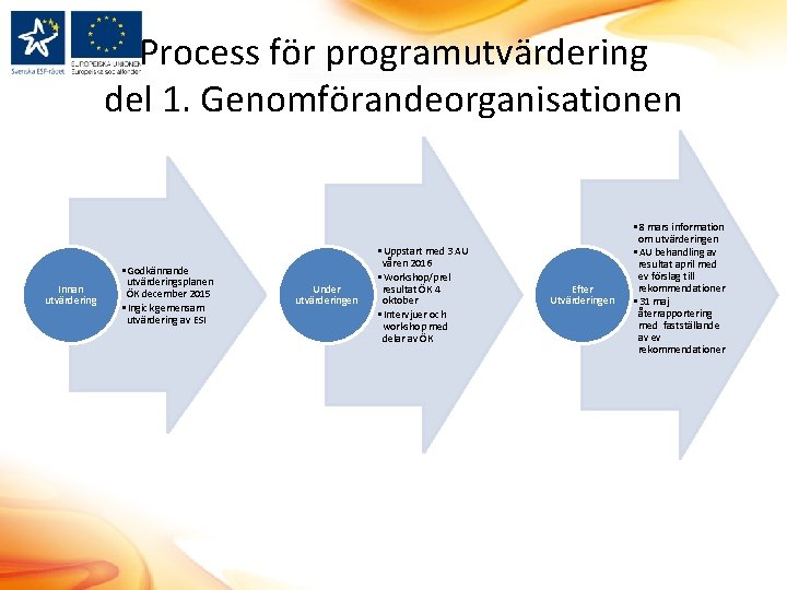 Process för programutvärdering del 1. Genomförandeorganisationen Innan utvärdering • Godkännande utvärderingsplanen ÖK december 2015