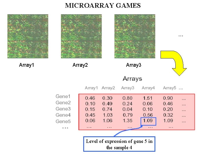 MICROARRAY GAMES … Array 1 Array 2 Array 3 Level of expression of gene