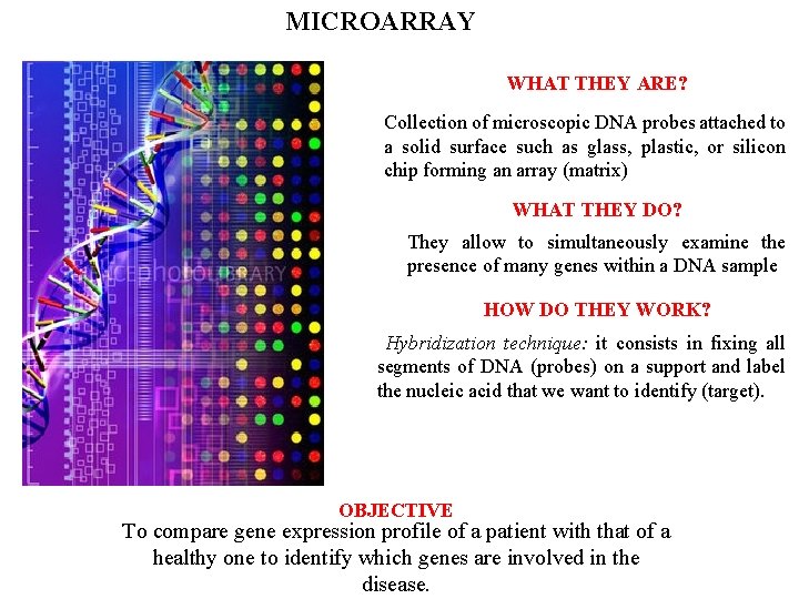 MICROARRAY WHAT THEY ARE? Collection of microscopic DNA probes attached to a solid surface