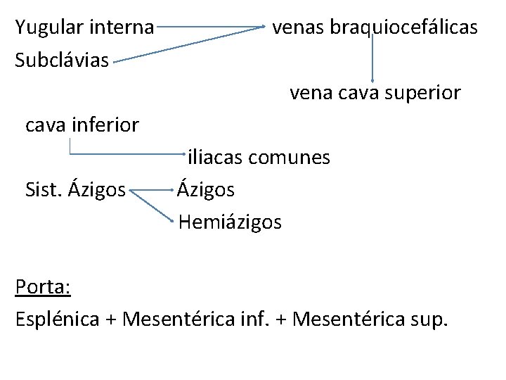 Yugular interna Subclávias venas braquiocefálicas vena cava superior cava inferior Sist. Ázigos iliacas comunes Yugular interna Subclávias venas braquiocefálicas vena cava superior cava inferior Sist. Ázigos iliacas comunes