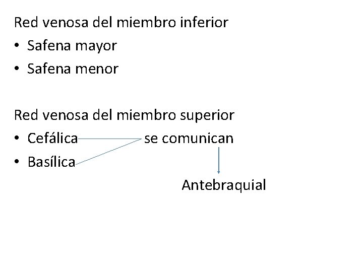 Red venosa del miembro inferior • Safena mayor • Safena menor Red venosa del Red venosa del miembro inferior • Safena mayor • Safena menor Red venosa del