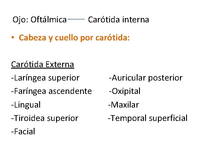 Ojo: Oftálmica Carótida interna • Cabeza y cuello por carótida: Carótida Externa -Laríngea superior Ojo: Oftálmica Carótida interna • Cabeza y cuello por carótida: Carótida Externa -Laríngea superior