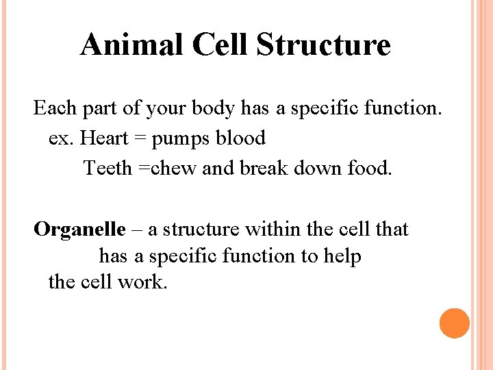 Animal Cell Structure Each part of your body has a specific function. ex. Heart