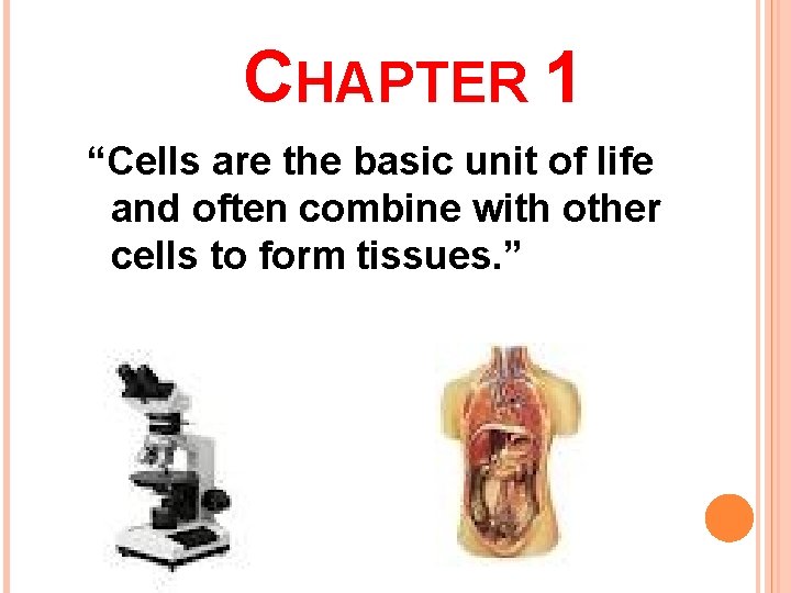 CHAPTER 1 “Cells are the basic unit of life and often combine with other