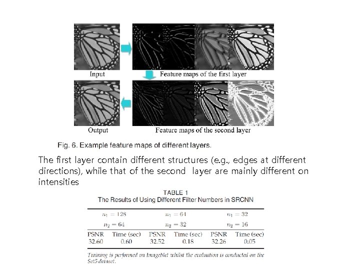 The first layer contain different structures (e. g. , edges at different directions), while