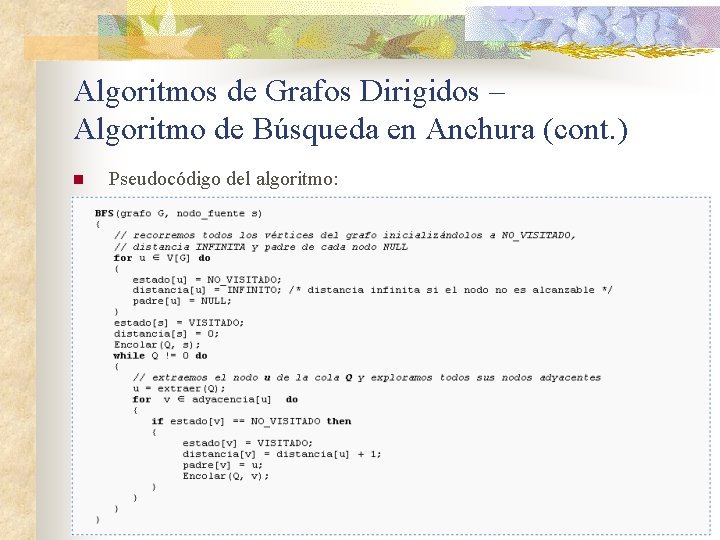 Algoritmos de Grafos Dirigidos – Algoritmo de Búsqueda en Anchura (cont. ) n Pseudocódigo Algoritmos de Grafos Dirigidos – Algoritmo de Búsqueda en Anchura (cont. ) n Pseudocódigo