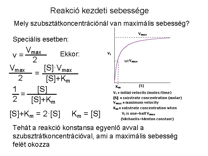 Reakció kezdeti sebessége Mely szubsztátkoncentrációnál van maximális sebesség? Speciális esetben: Vmax Ekkor: v= 2