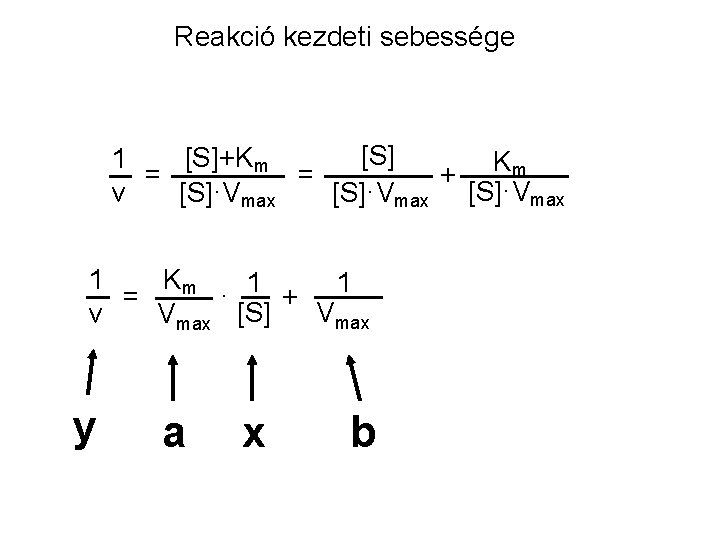 Reakció kezdeti sebessége [S]+Km 1 K m = = + v [S]·Vmax 1 Km