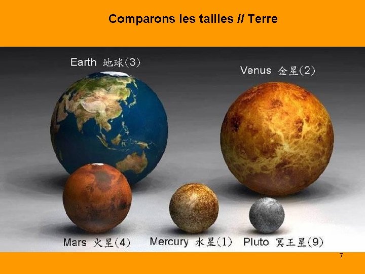 Comparons les tailles // Terre 7 