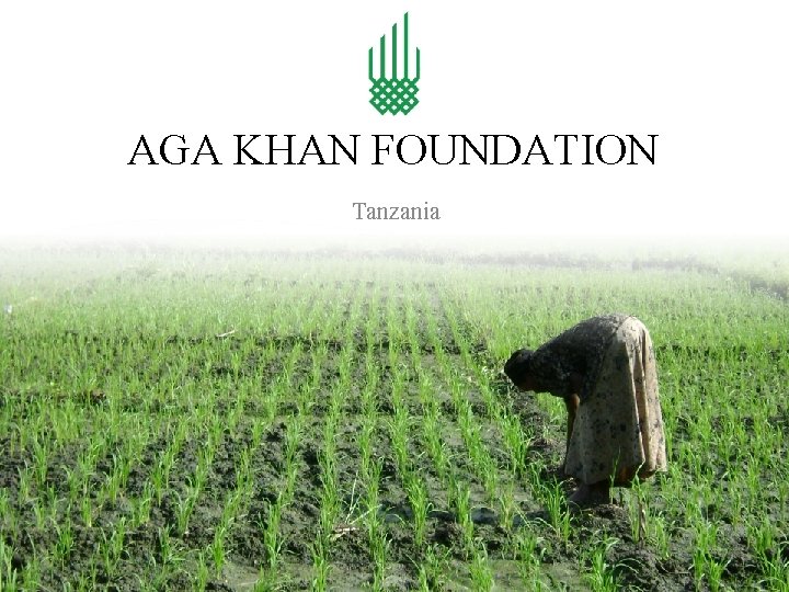 AGA KHAN FOUNDATION Tanzania 