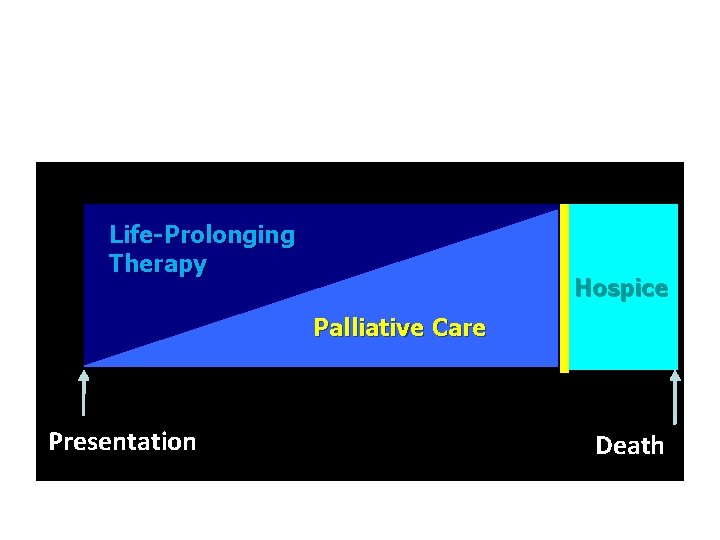 Life-Prolonging Therapy Hospice Palliative Care Presentation Death 