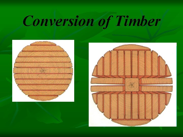 Conversion of Timber 