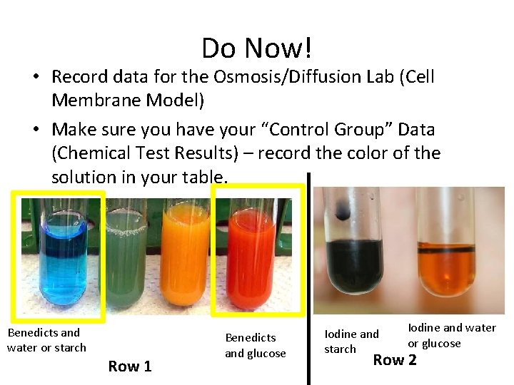 Do Now! • Record data for the Osmosis/Diffusion Lab (Cell Membrane Model) • Make