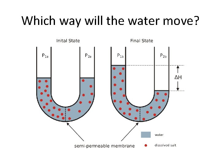 Which way will the water move? 