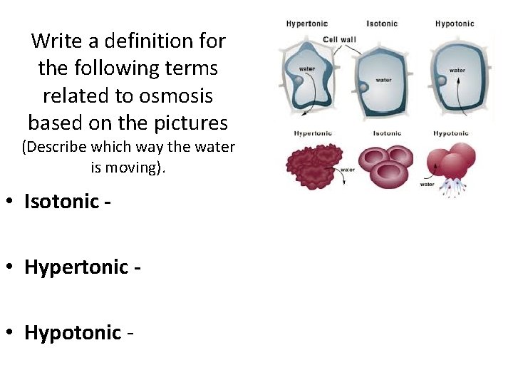 Write a definition for the following terms related to osmosis based on the pictures