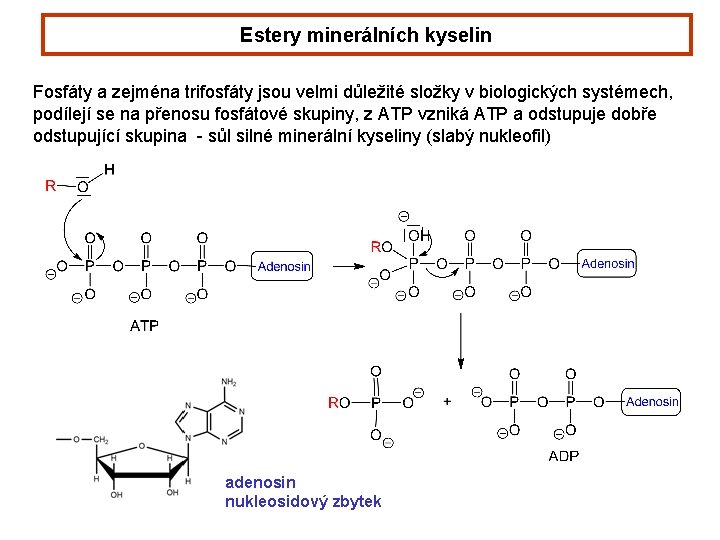 Estery minerálních kyselin Fosfáty a zejména trifosfáty jsou velmi důležité složky v biologických systémech, Estery minerálních kyselin Fosfáty a zejména trifosfáty jsou velmi důležité složky v biologických systémech,