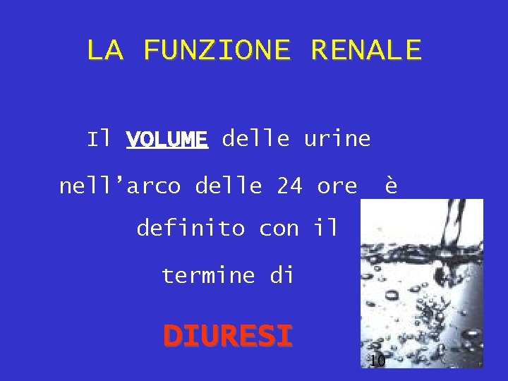 LA FUNZIONE RENALE Il VOLUME delle urine nell’arco delle 24 ore è definito con
