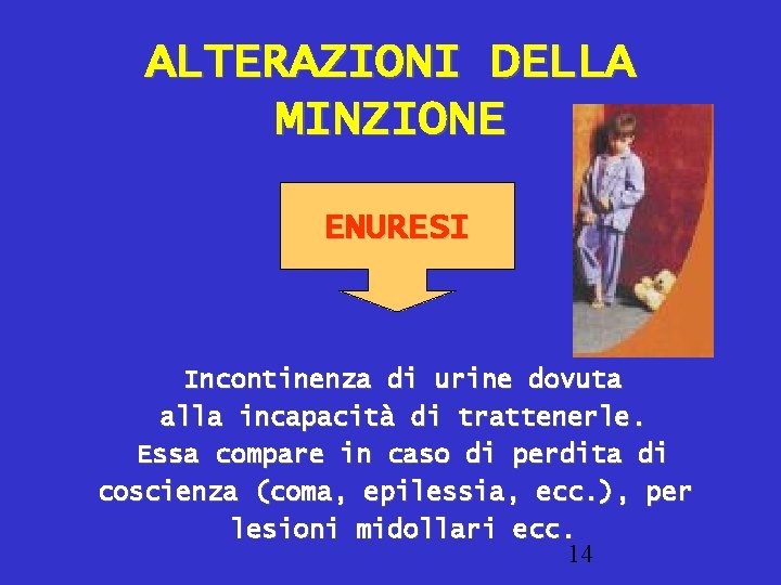 ALTERAZIONI DELLA MINZIONE ENURESI Incontinenza di urine dovuta alla incapacità di trattenerle. Essa compare