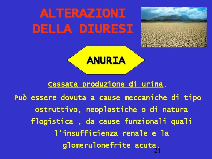 ALTERAZIONI DELLA DIURESI ANURIA Cessata produzione di urina Può essere dovuta a cause meccaniche