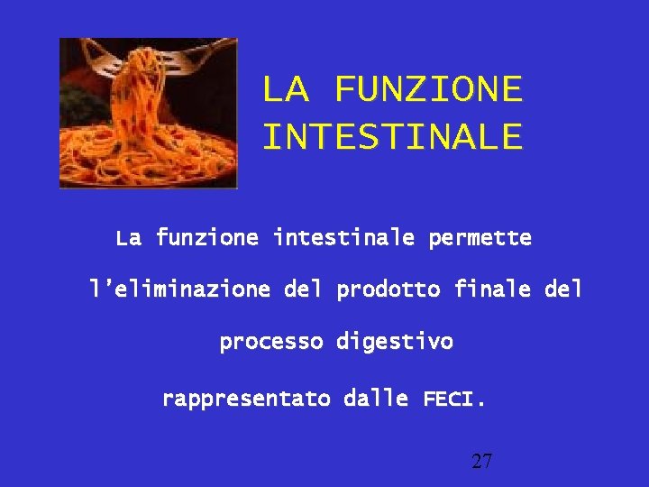 LA FUNZIONE INTESTINALE La funzione intestinale permette l’eliminazione del prodotto finale del processo digestivo