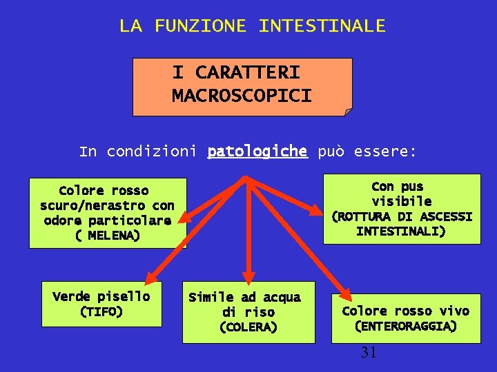 LA FUNZIONE INTESTINALE I CARATTERI MACROSCOPICI In condizioni patologiche può essere: Con pus visibile