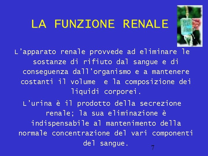 LA FUNZIONE RENALE L’apparato renale provvede ad eliminare le sostanze di rifiuto dal sangue