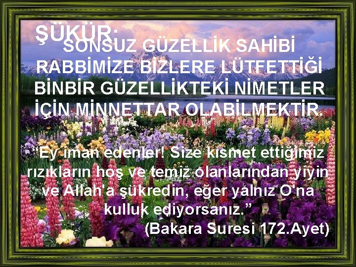 ŞÜKÜR; SONSUZ GÜZELLİK SAHİBİ RABBİMİZE BİZLERE LÜTFETTİĞİ BİNBİR GÜZELLİKTEKİ NİMETLER İÇİN MİNNETTAR OLABİLMEKTİR. “Ey