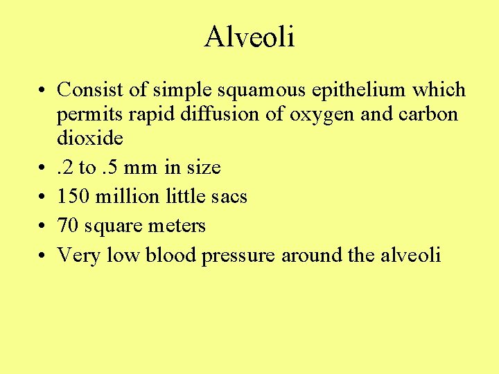 Alveoli • Consist of simple squamous epithelium which permits rapid diffusion of oxygen and